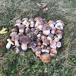 дом у озера * Tur'ya Paseka