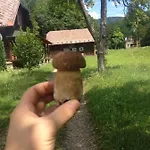 дом у озера Holiday home