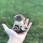 дом у озера Holiday home *