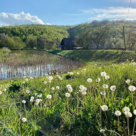 дом у озера Holiday home Tur'ya Paseka