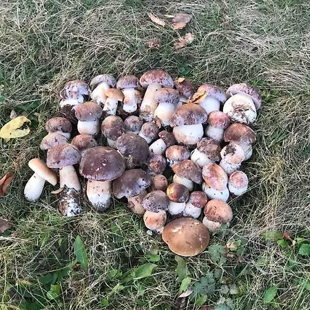 дом у озера * Tur'ya Paseka
