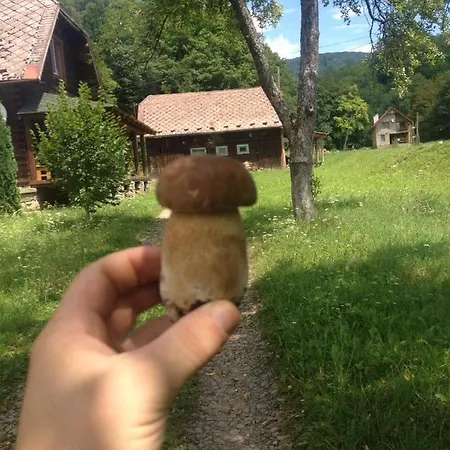 дом у озера Semesterbostad