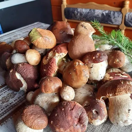 дом у озера * Tur'ya Paseka