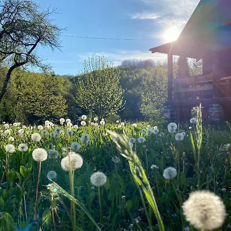 Holiday home дом у озера *