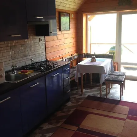 Holiday home дом у озера Tur'ya Paseka