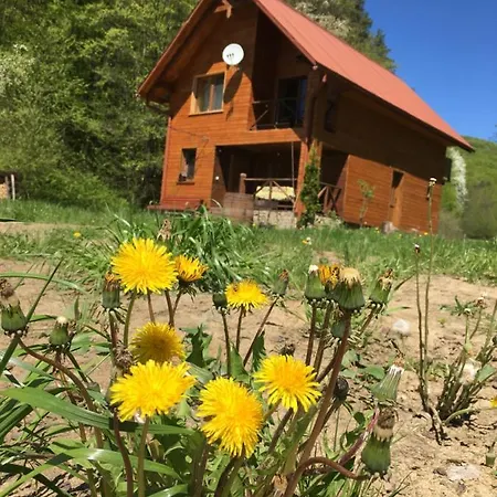 дом у озера Holiday home *