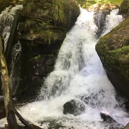 дом у озера Tur'ya Paseka