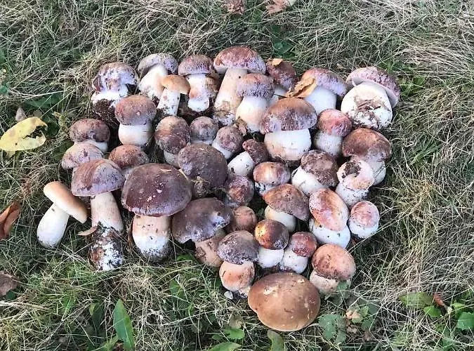 дом у озера * Tur'ya Paseka