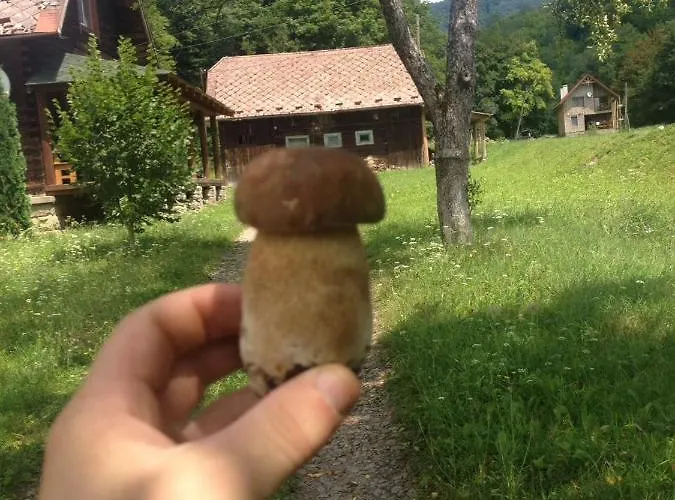 дом у озера Casa de Férias