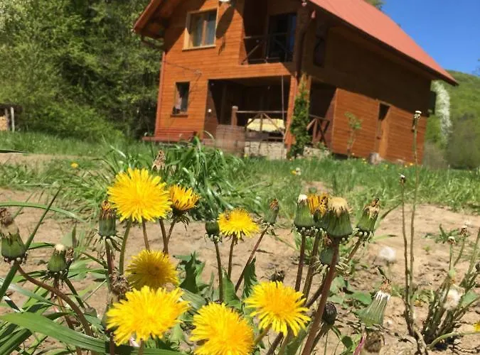 дом у озера Casa de Férias *