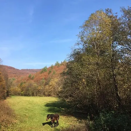 Nyaraló дом у озера