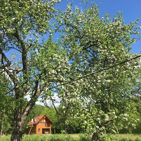 дом у озера