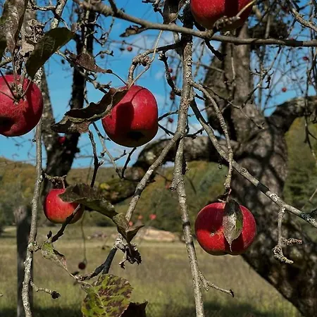 дом у озера Nyaraló Turjavágás